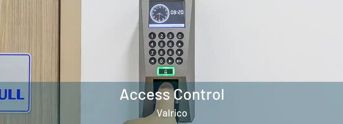 Access Control Valrico