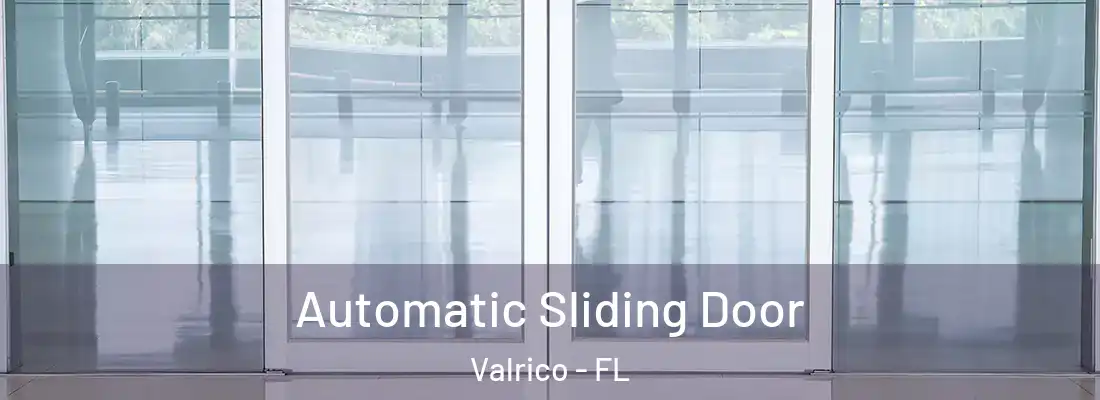  Automatic Sliding Door Valrico - FL