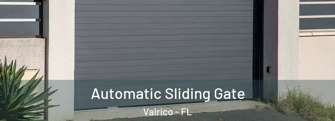  Automatic Sliding Gate Valrico - FL