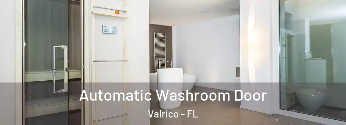 Automatic Washroom Door Valrico - FL