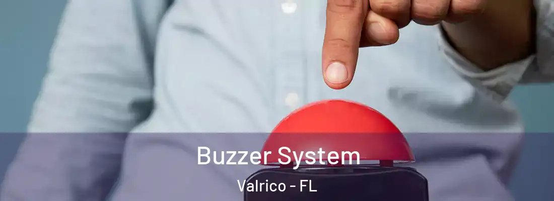  Buzzer System Valrico - FL