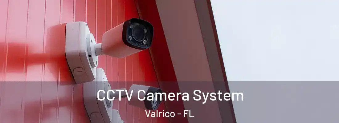  CCTV Camera System Valrico - FL