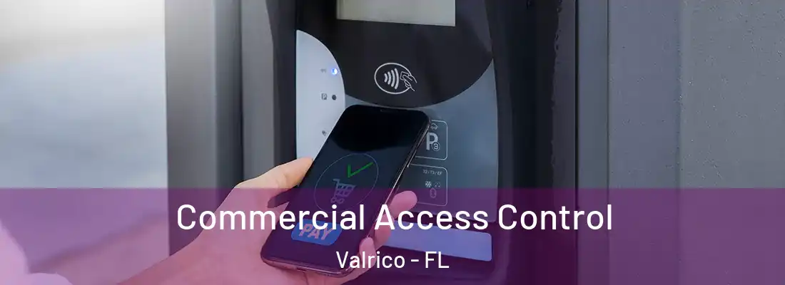  Commercial Access Control Valrico - FL
