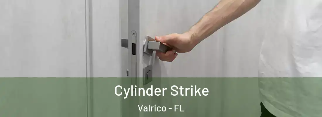 Cylinder Strike Valrico - FL
