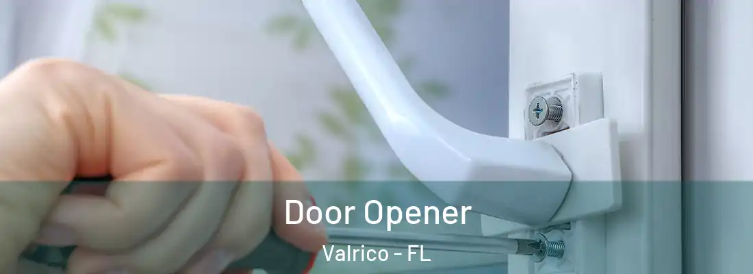  Door Opener Valrico - FL