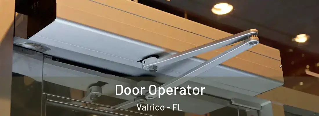  Door Operator Valrico - FL