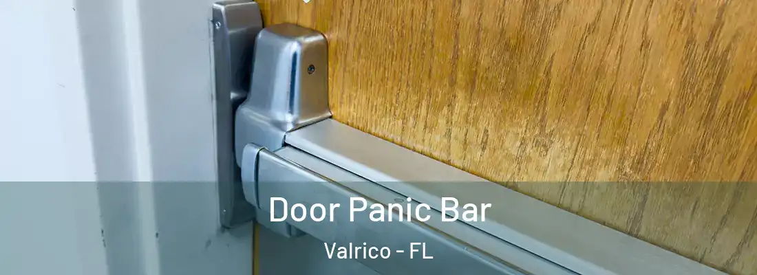  Door Panic Bar Valrico - FL