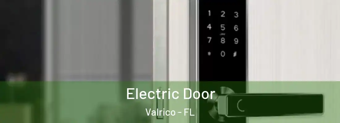  Electric Door Valrico - FL