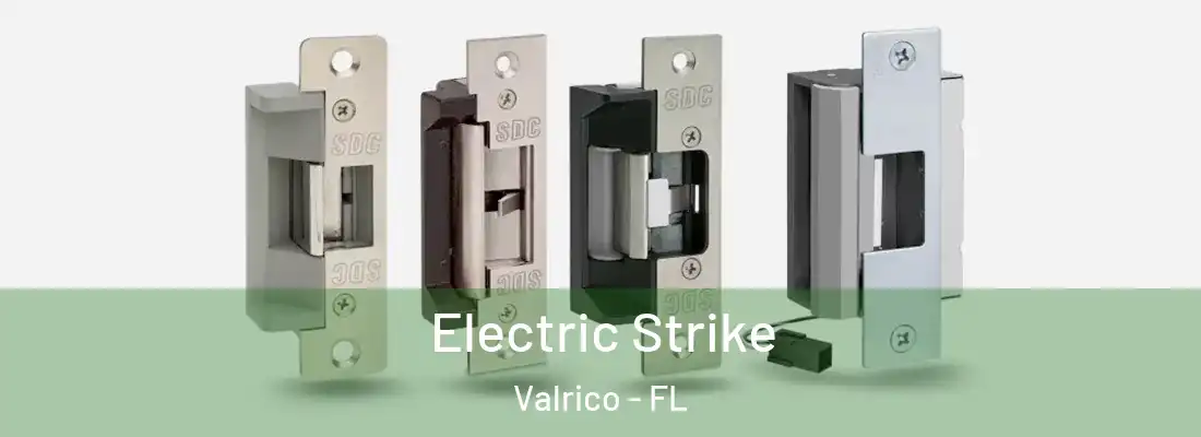 Electric Strike Valrico - FL