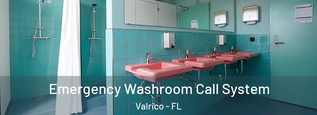  Emergency Washroom Call System Valrico - FL