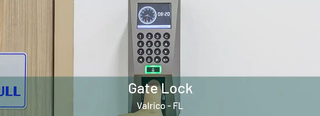  Gate Lock Valrico - FL