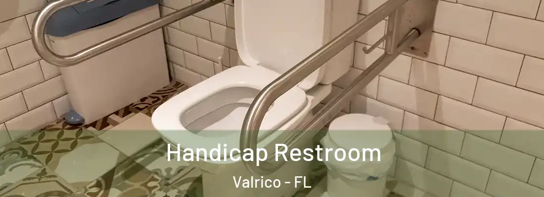  Handicap Restroom Valrico - FL