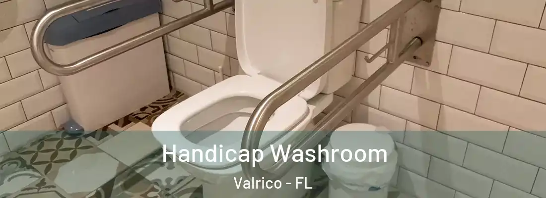  Handicap Washroom Valrico - FL