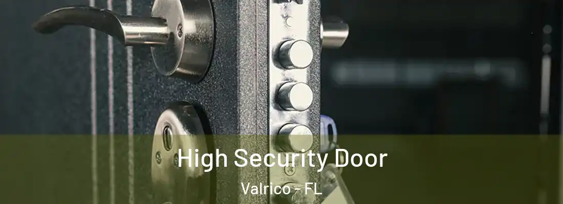  High Security Door Valrico - FL