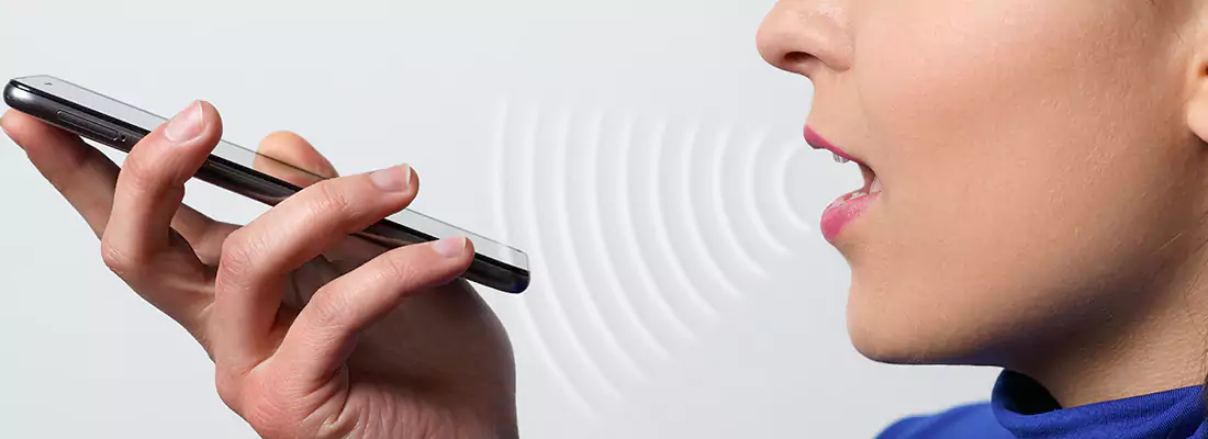 Residential and Commercial Voice Recognition Access Solutions in Valrico, FL