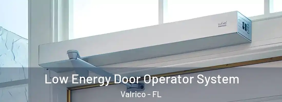  Low Energy Door Operator System Valrico - FL