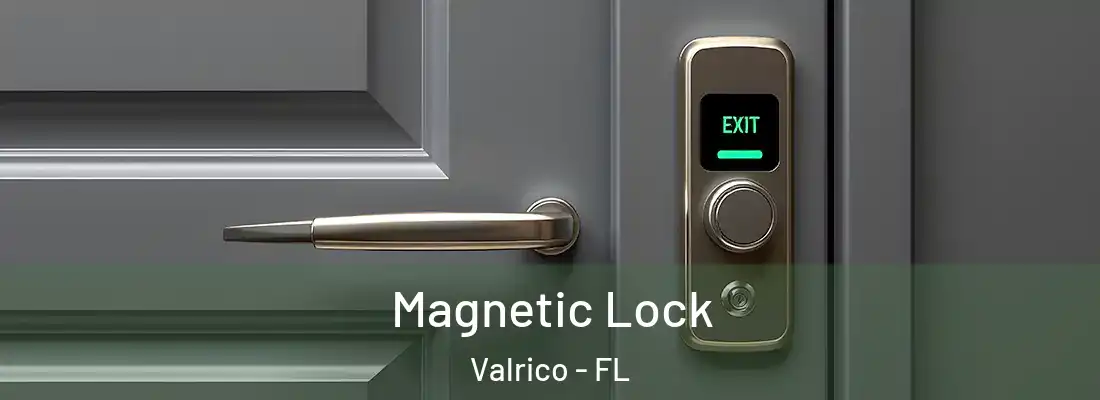 Magnetic Lock Valrico - FL