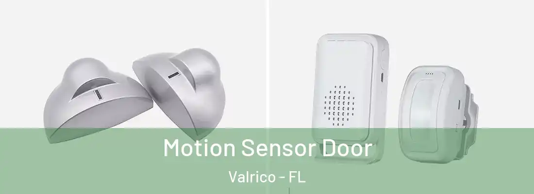  Motion Sensor Door Valrico - FL