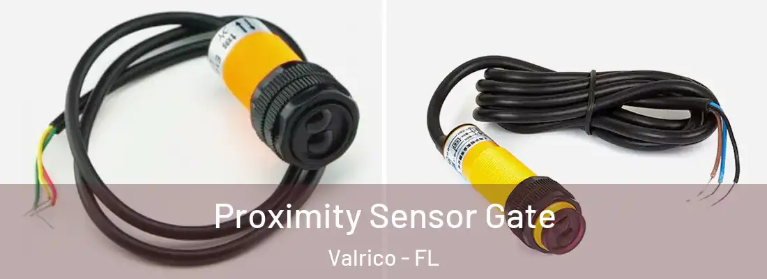 Proximity Sensor Gate Valrico - FL