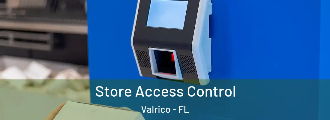  Store Access Control Valrico - FL