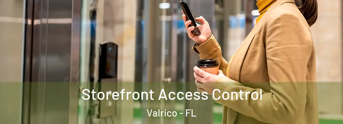  Storefront Access Control Valrico - FL