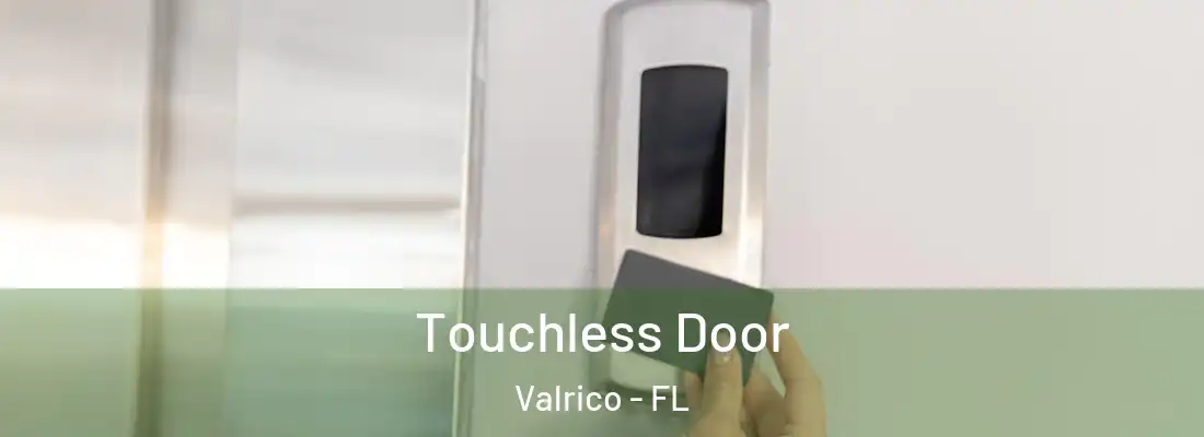  Touchless Door Valrico - FL