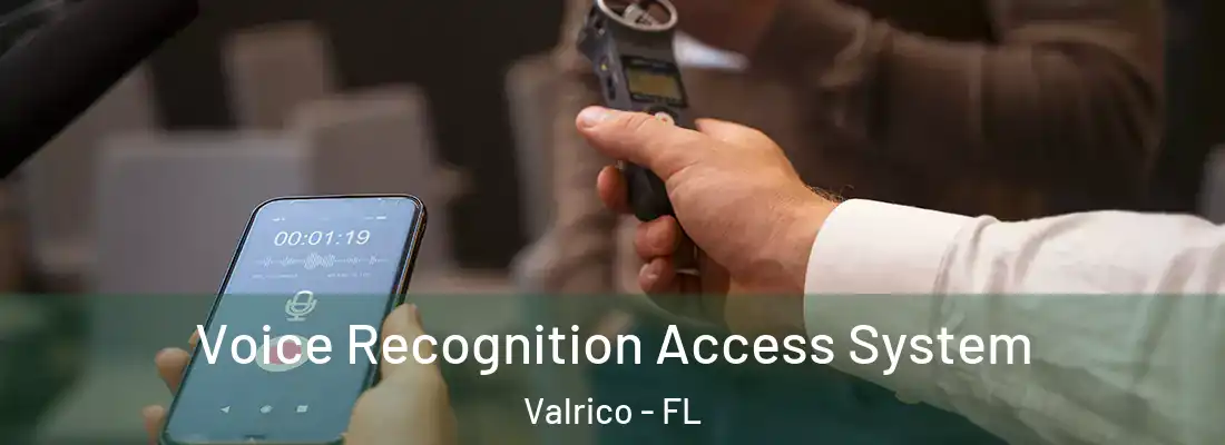 Voice Recognition Access System Valrico - FL